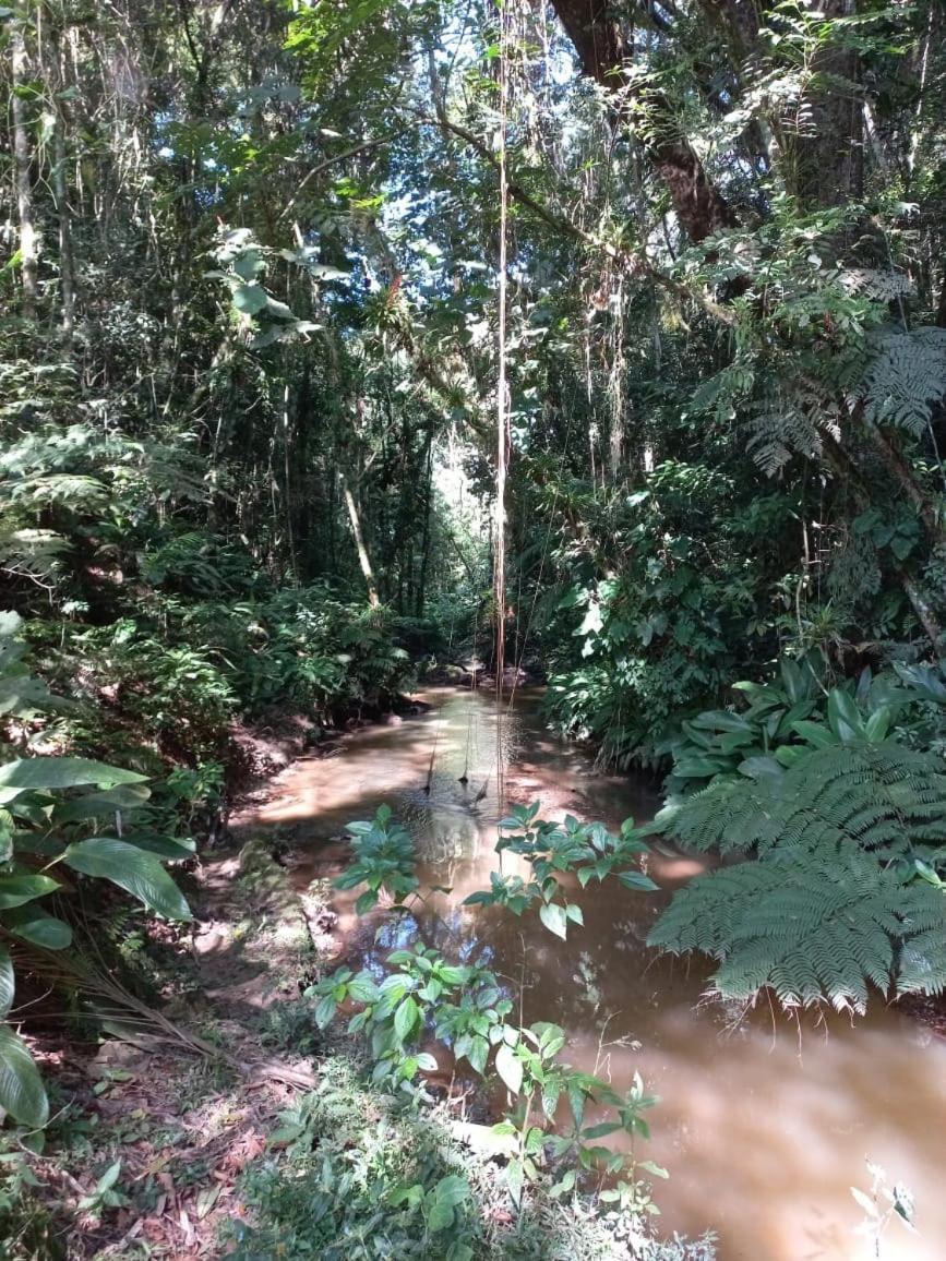 הוילה ז'וקיטיבה Sitio Saramandaia מראה חיצוני תמונה